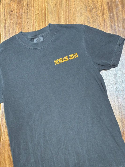 Walk Worthy of the Lord